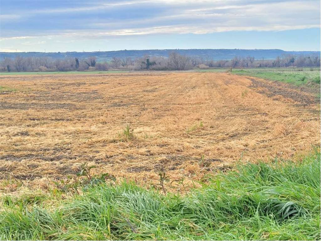 Terreno a Ascoli satriano in STRADA PROVINCIALE 91 - Foto 2