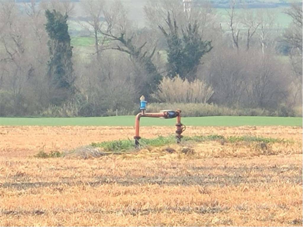Terreno a Ascoli satriano in STRADA PROVINCIALE 91 - Foto 4