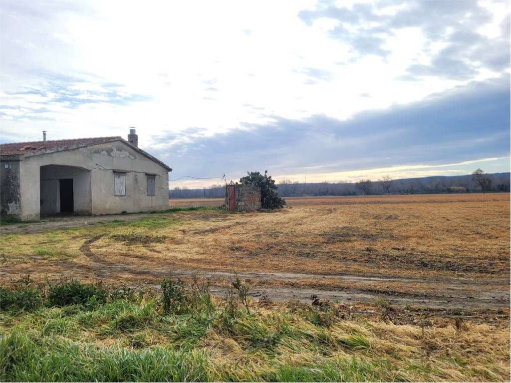 Terreno a Ascoli satriano in STRADA PROVINCIALE 91 - Foto 5