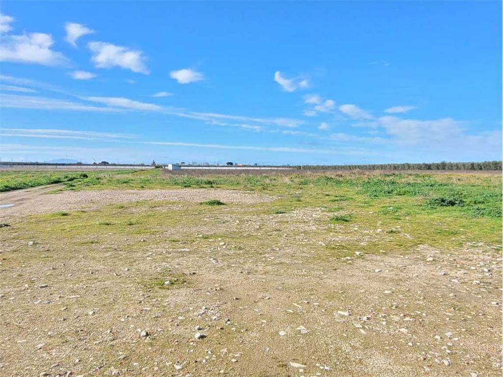 Terreno a Cerignola in S.S. 16 - Foto 2