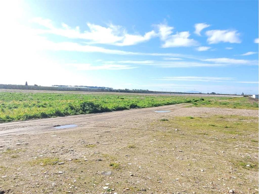 Terreno a Cerignola in S.S. 16 - Foto 4