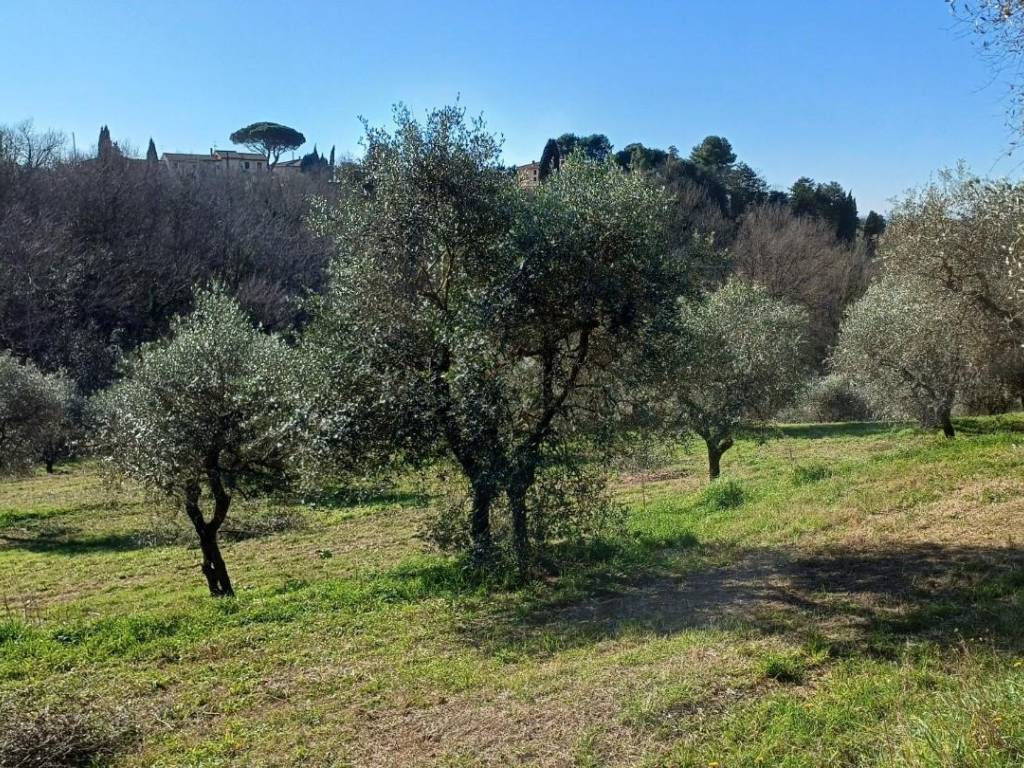 Casa indipendente a Santa maria a monte - Foto 3