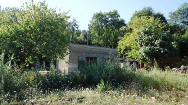 Rustico / casale a Gavorrano in caldana - Foto 3