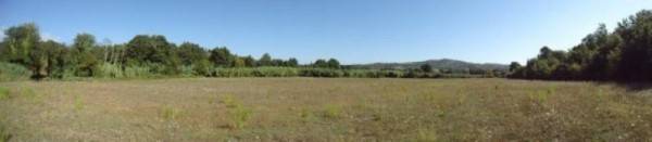 Rustico / casale a Gavorrano in caldana - Foto 4