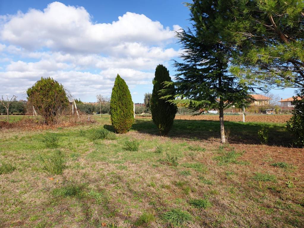 Terreno a Corropoli - Foto 2