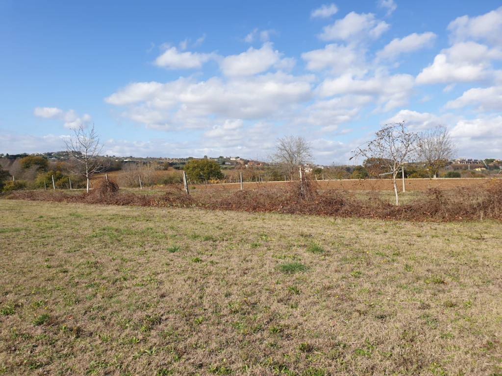 Terreno a Corropoli - Foto 3