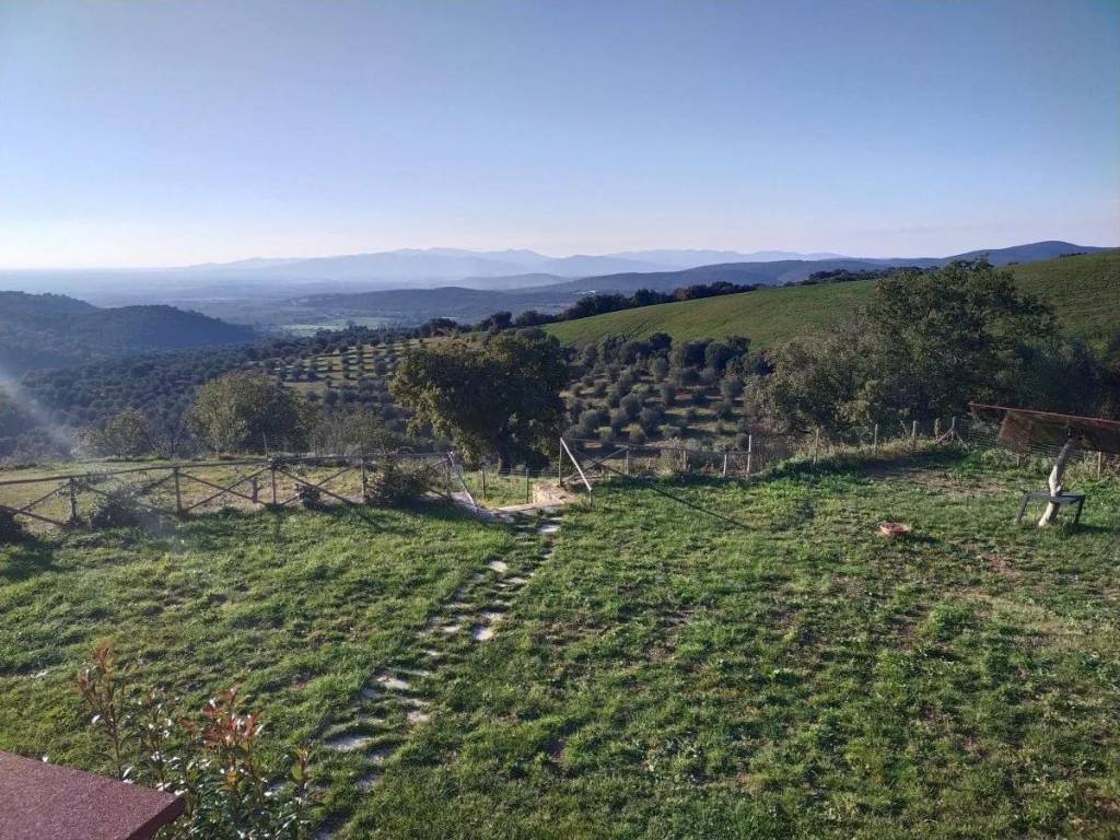 Terreno a Campagnatico - Foto 2