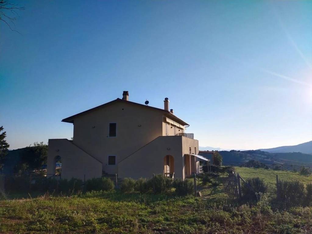 Terreno a Campagnatico - Foto 4