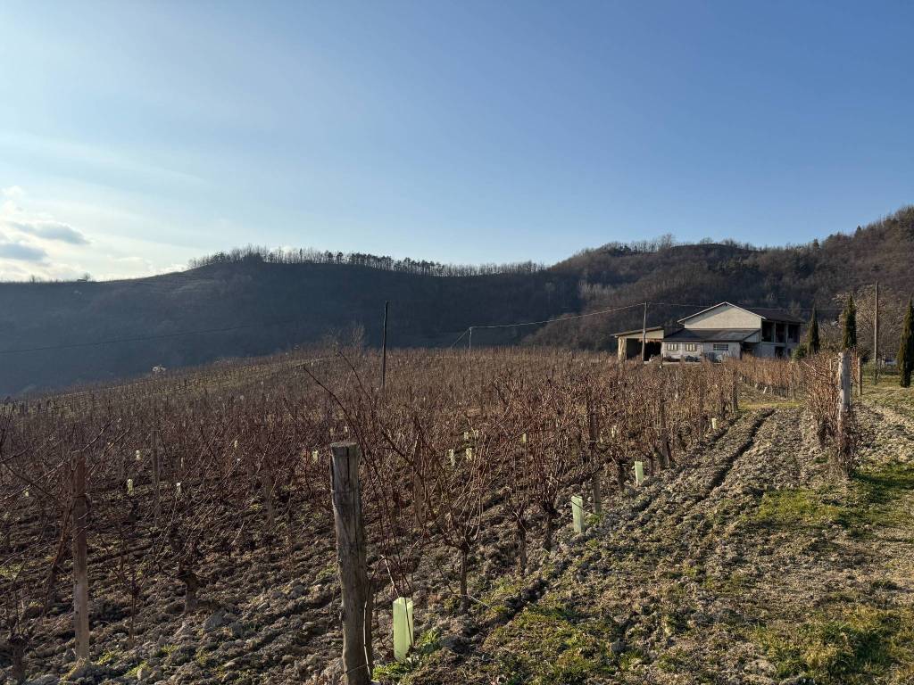 Terreno a Monastero bormida in Regione Regnassini, 7 - Foto 2
