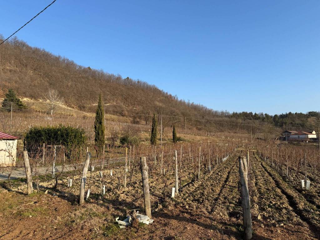 Terreno a Monastero bormida in Regione Regnassini, 7 - Foto 4