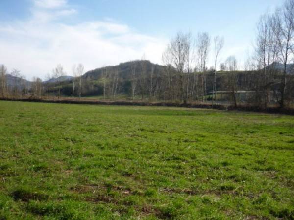 Rustico / casale a Casasco in Strada Provinciale 118, 6 - Foto 3