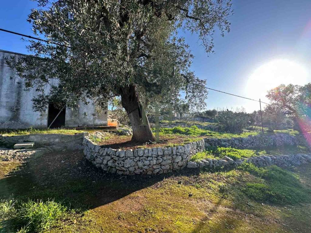 Rustico / casale a Ostuni in Contrada Tamburroni - Foto 4
