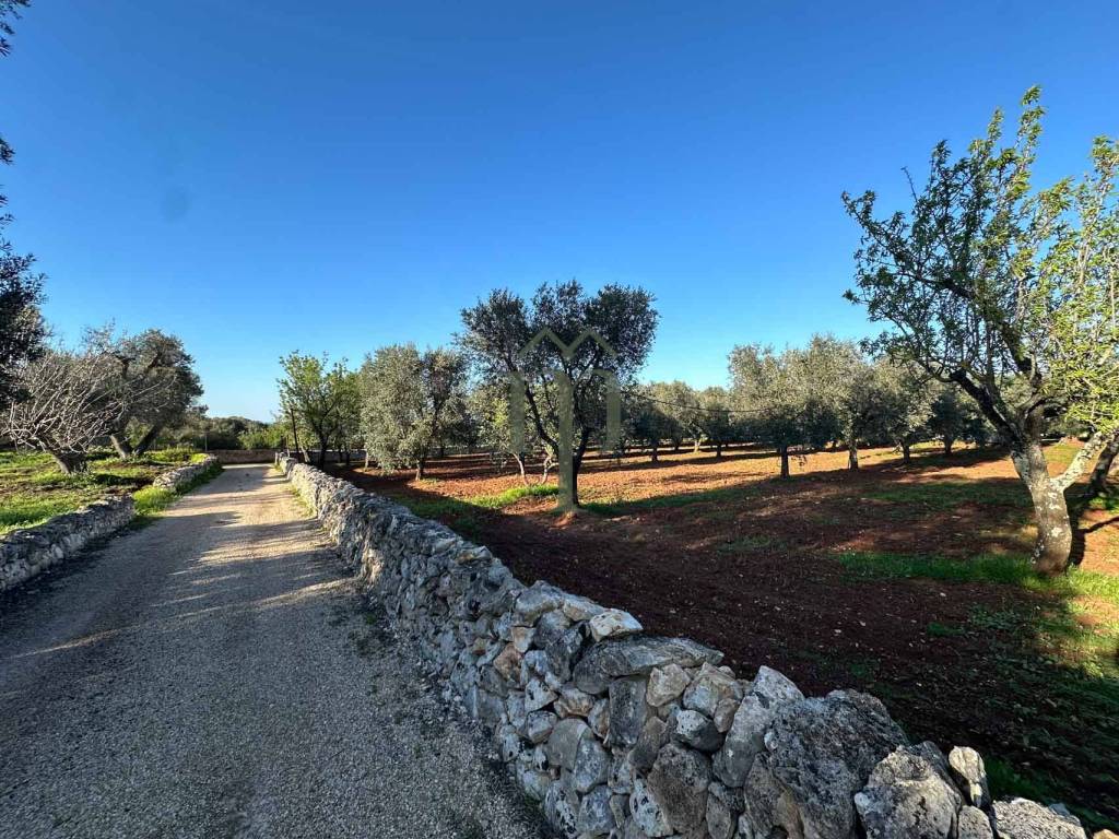 Rustico / casale a Ostuni in Contrada Tamburroni - Foto 5