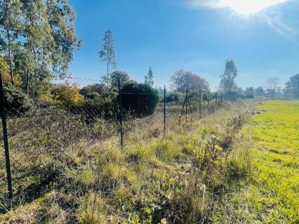 Terreno a Latina in Strada Gorgolicino - Foto 4