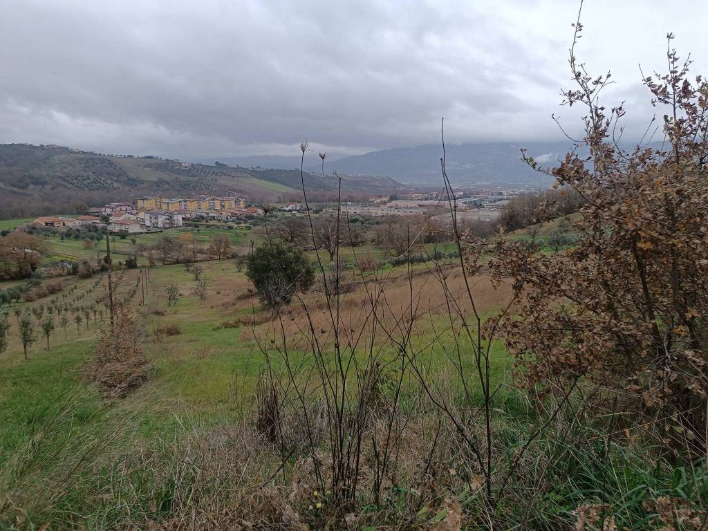 Terreno a Montalto uffugo in Via Pianette - Foto 2