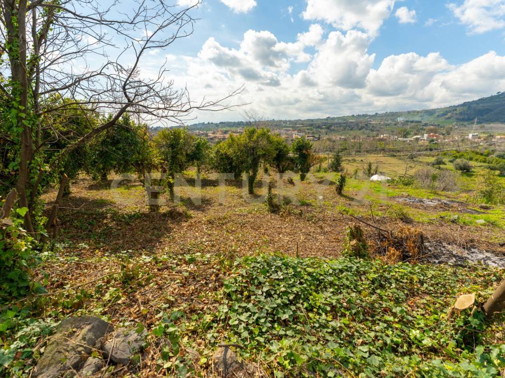 Terreno a Giarre in via giuseppe zinghirino, 1 - Foto 4