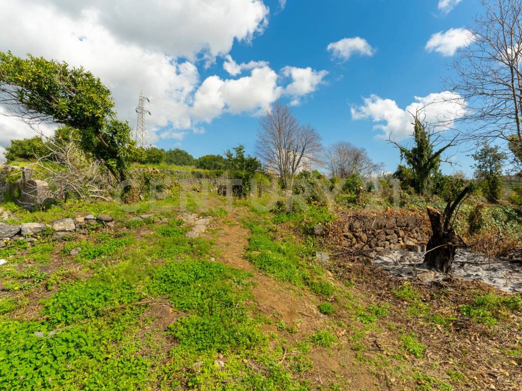Terreno a Giarre in via giuseppe zinghirino, 1 - Foto 5