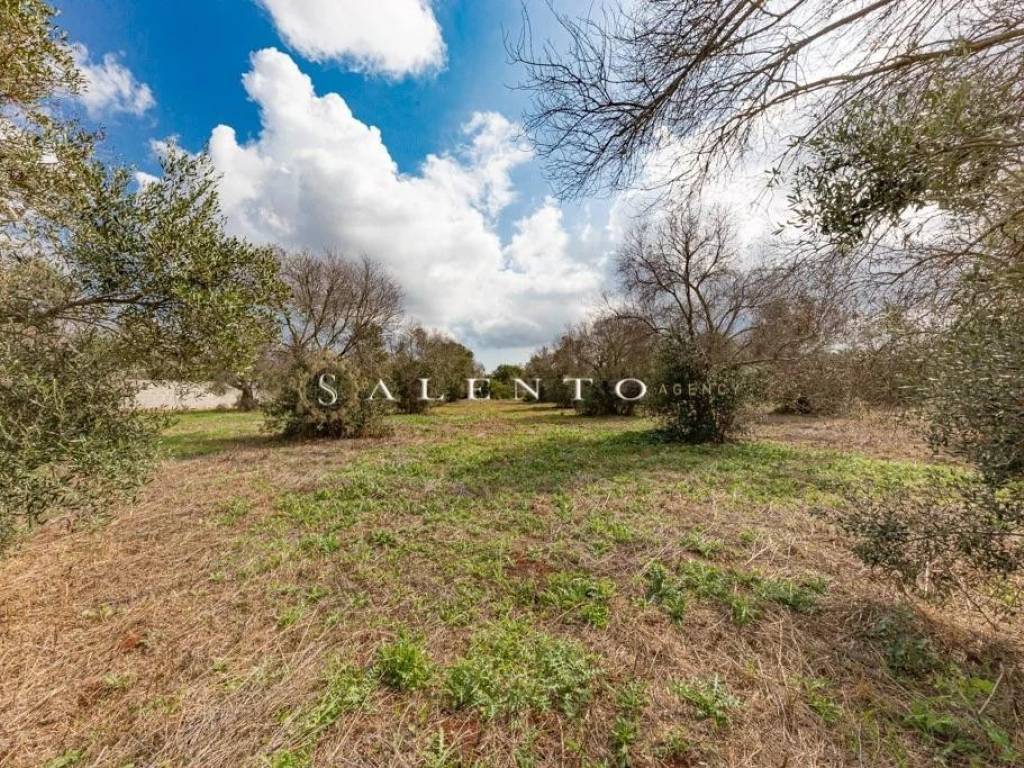 Villa a Morciano di leuca in Strada Comunale Morciano Barbarano - Foto 3