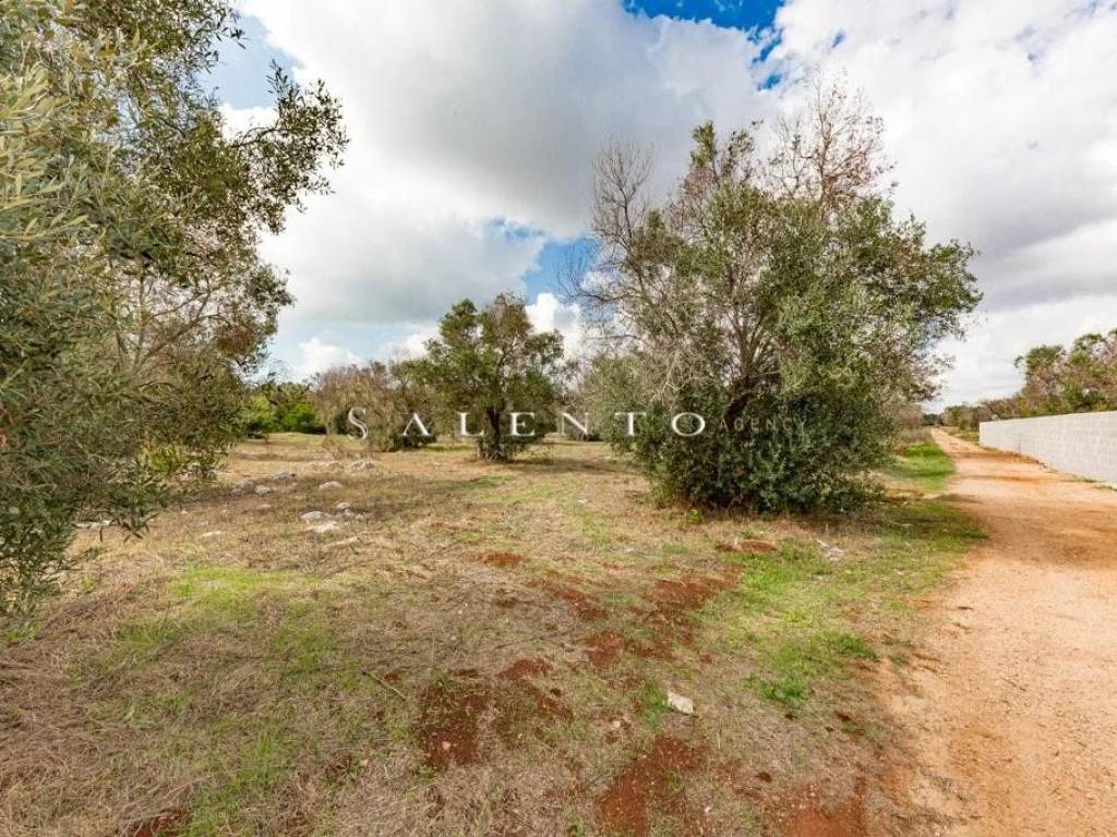 Villa a Morciano di leuca in Strada Comunale Morciano Barbarano - Foto 4