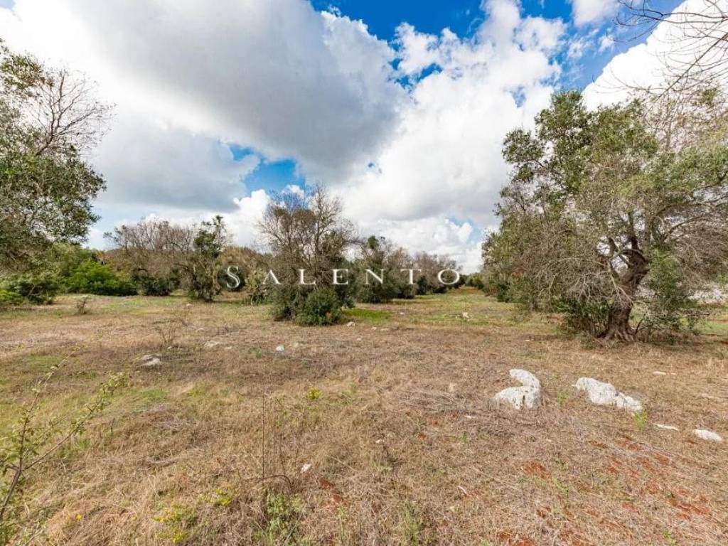 Villa a Morciano di leuca in Strada Comunale Morciano Barbarano - Foto 5