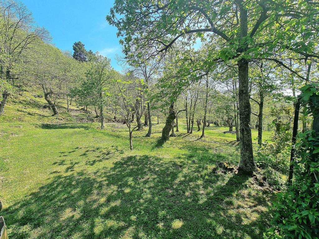 Rustico / casale a Marliana - Foto 5
