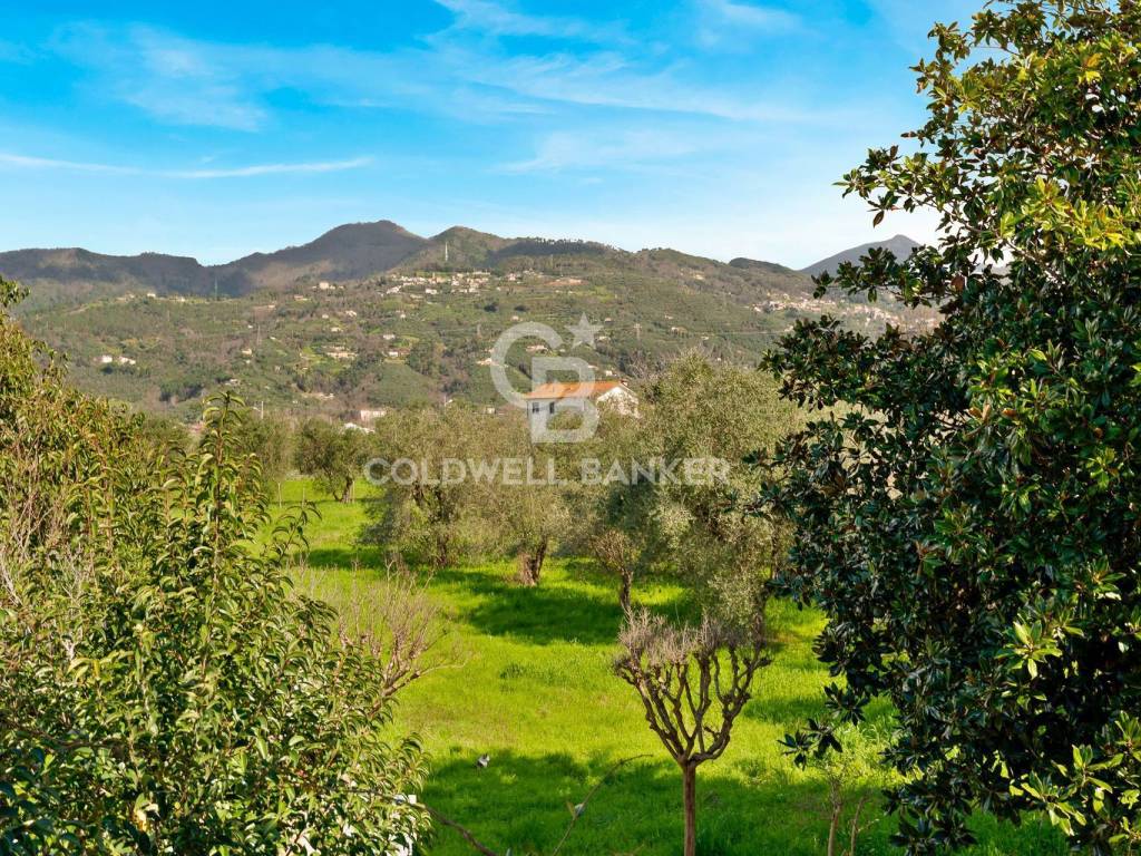 Villa a Pietrasanta in Via Pisanica, 124 - Foto 3