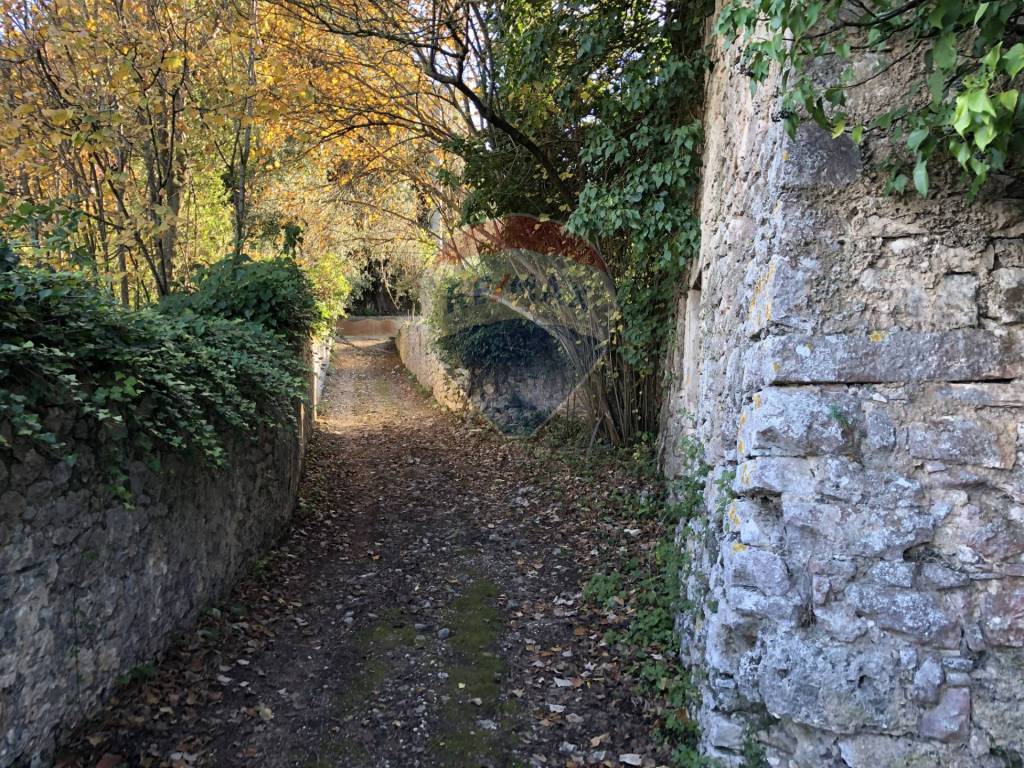 Terreno a Vico del gargano in Strada Comunale del Canneto - Foto 2