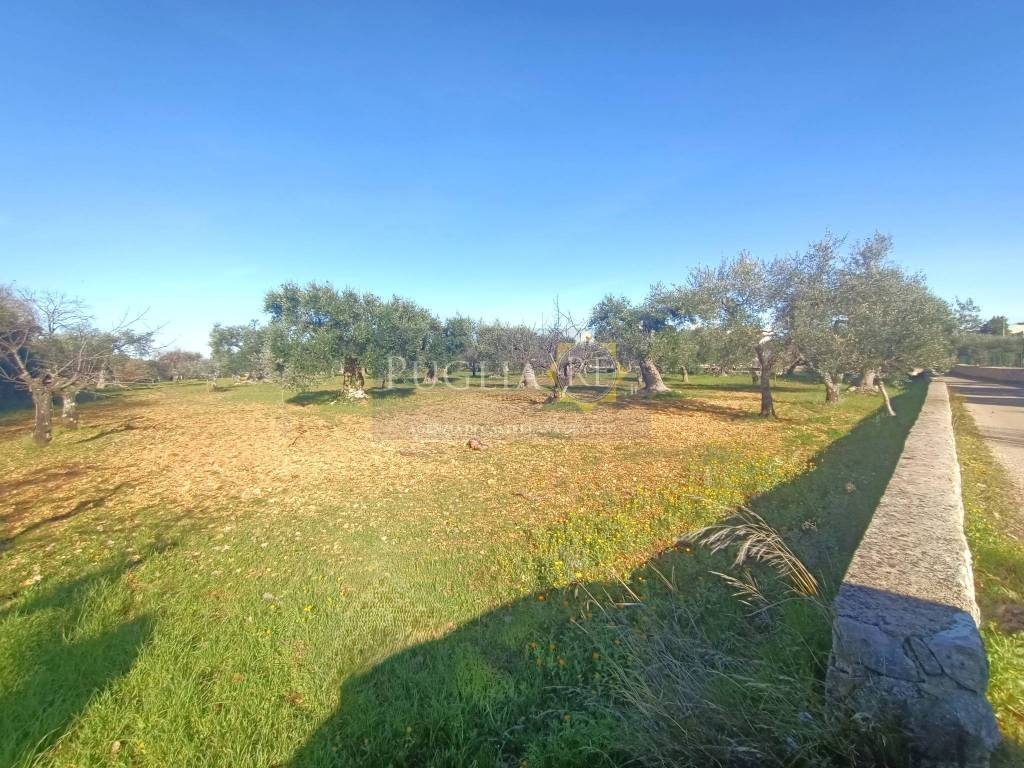 Rustico / casale a Castellana grotte in Strada Comunale Santo Stefano - Foto 5