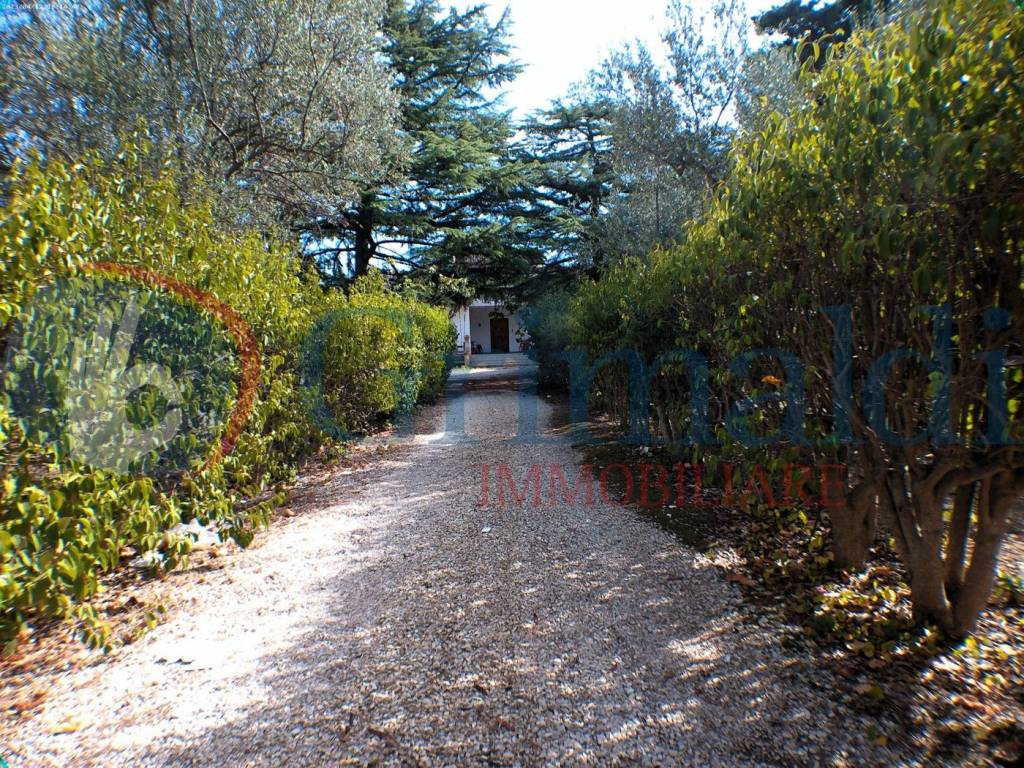Villa a Molfetta in Via Beniamino Finocchiaro, 19 - Foto 4