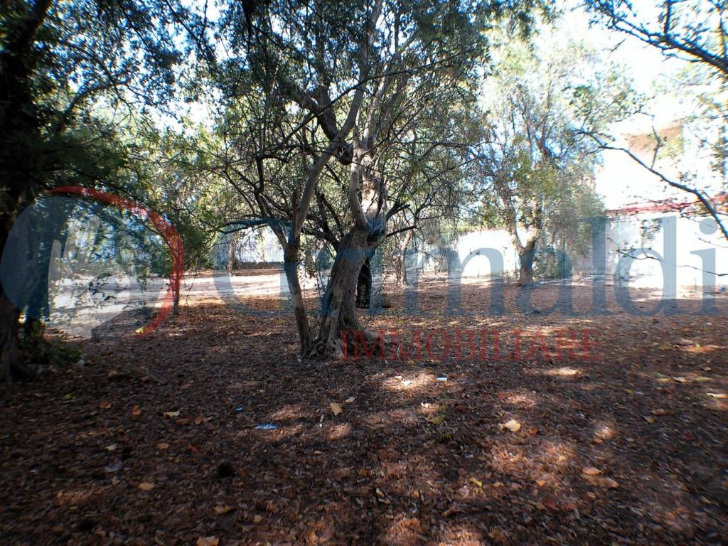 Villa a Molfetta in Via Beniamino Finocchiaro, 19 - Foto 5
