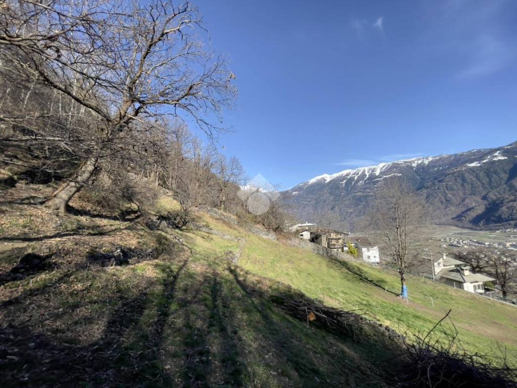 Terreno a Tirano in Via Buglio - Foto 5