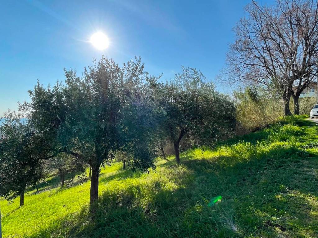 Terreno a Silvi in Contrada San Silvestro, 128 - Foto 4