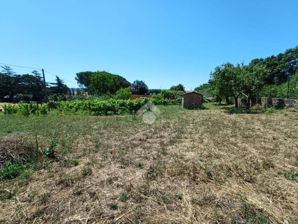 Terreno a Nepi in Via g. carducci, 9 - Foto 3