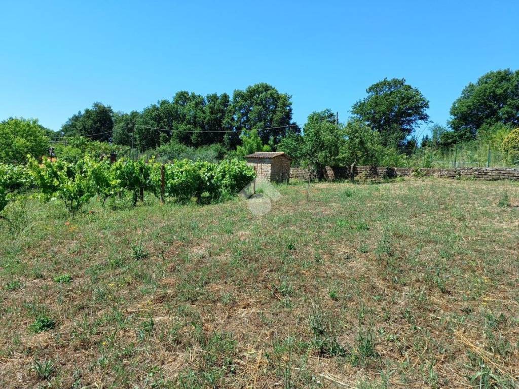 Terreno a Nepi in Via g. carducci, 9 - Foto 5