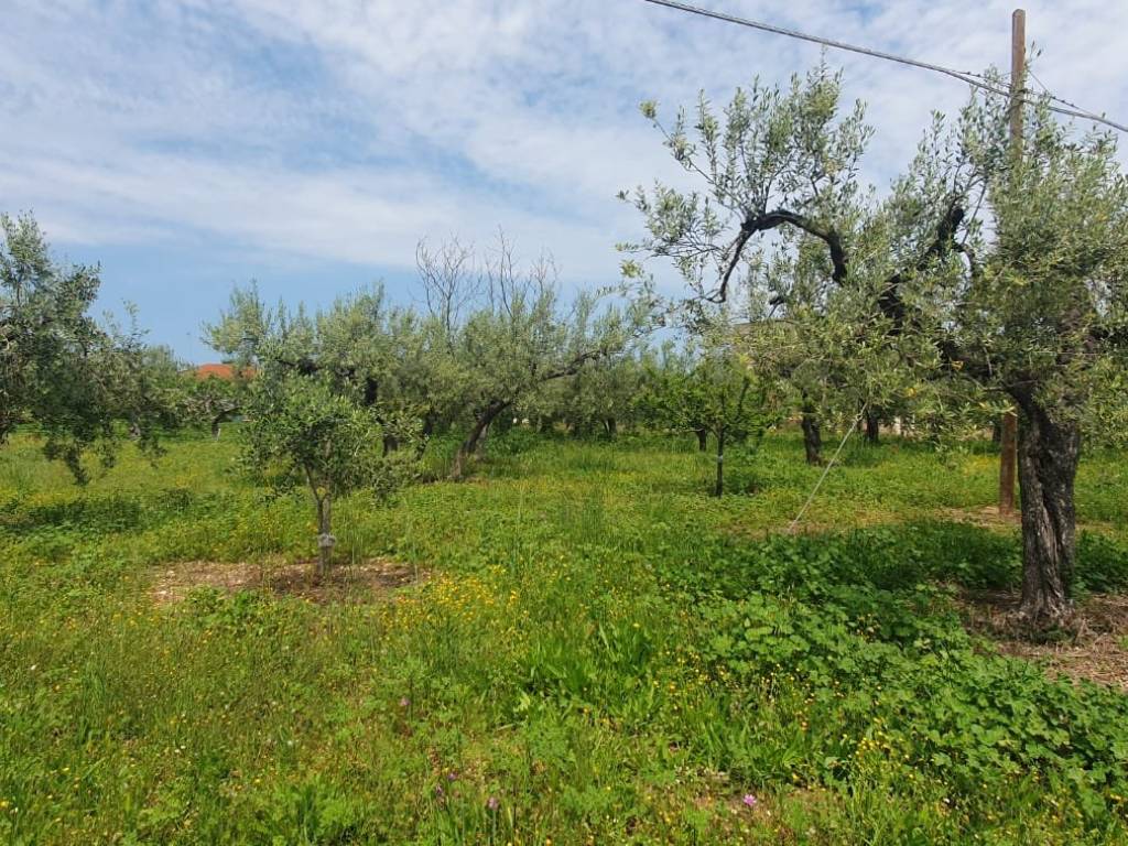 Terreno a Santa maria imbaro in Via Piane - Foto 3