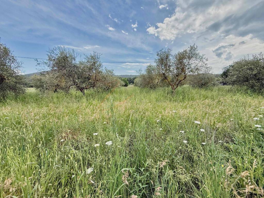 Terreno a Piombino in Località Bonaria, 15 - Foto 2