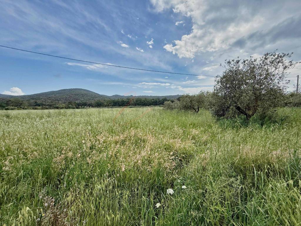 Terreno a Piombino in Località Bonaria, 15 - Foto 3