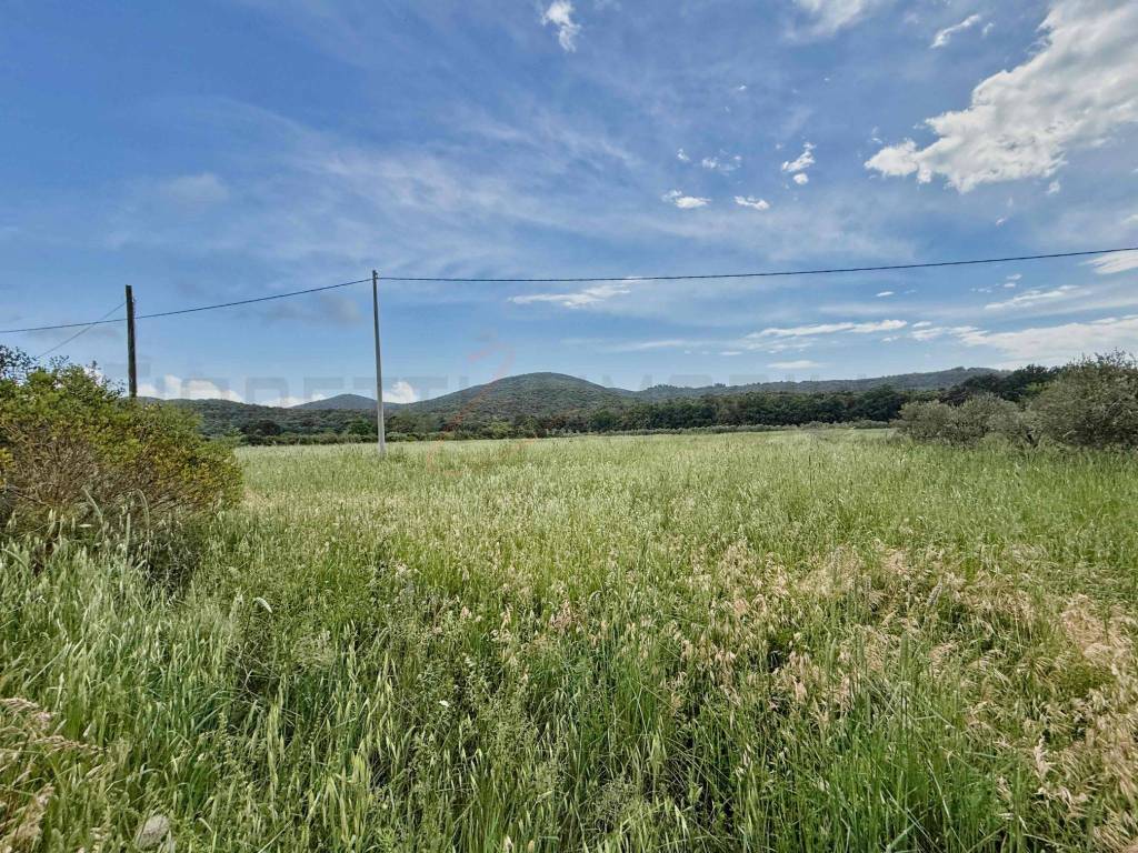 Terreno a Piombino in Località Bonaria, 15 - Foto 4