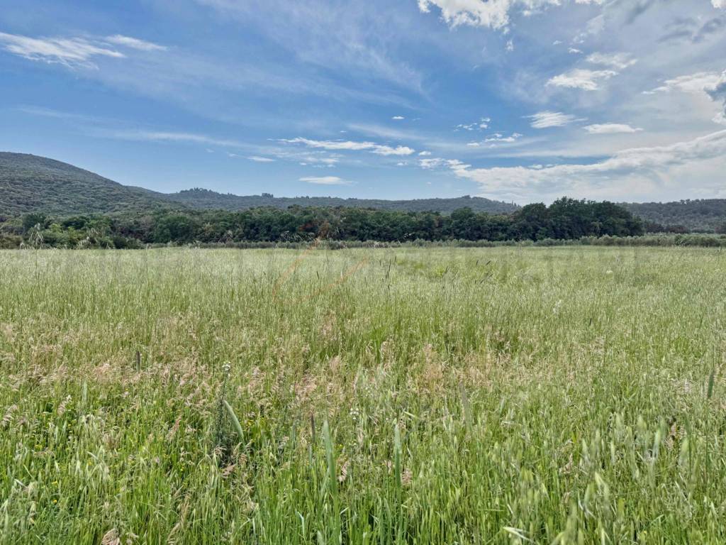 Terreno a Piombino in Località Bonaria, 15 - Foto 5