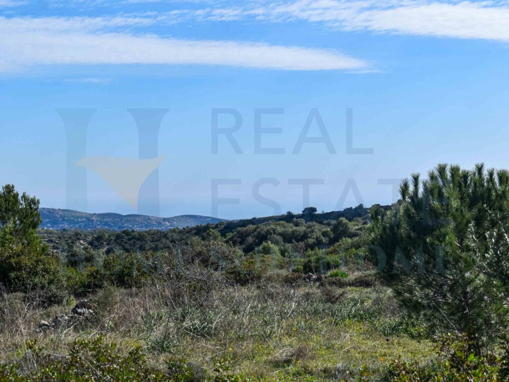 Terreno a Noto in Via Tommaso Fazello, 228 - Foto 2
