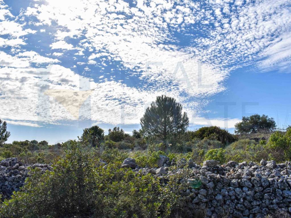 Terreno a Noto in Via Tommaso Fazello, 228 - Foto 3