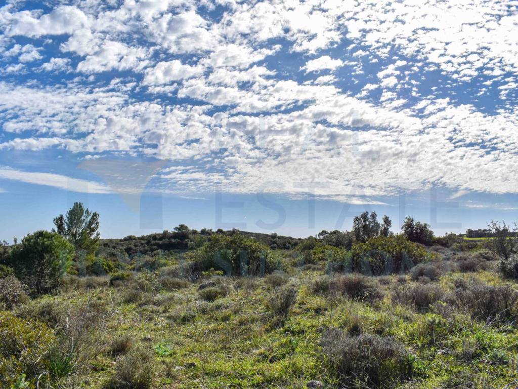 Terreno a Noto in Via Tommaso Fazello, 228 - Foto 4