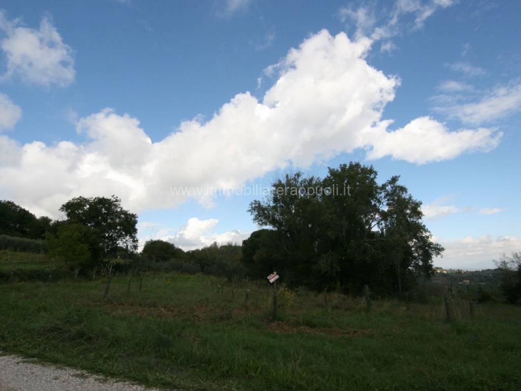 Terreno a Montepulciano - Foto 2