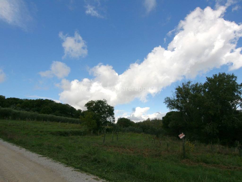 Terreno a Montepulciano - Foto 3