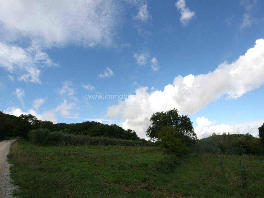 Terreno a Montepulciano - Foto 4