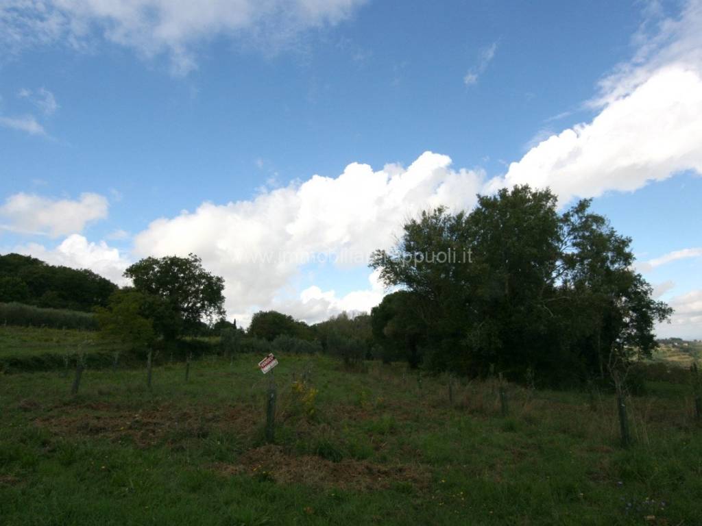 Terreno a Montepulciano - Foto 5