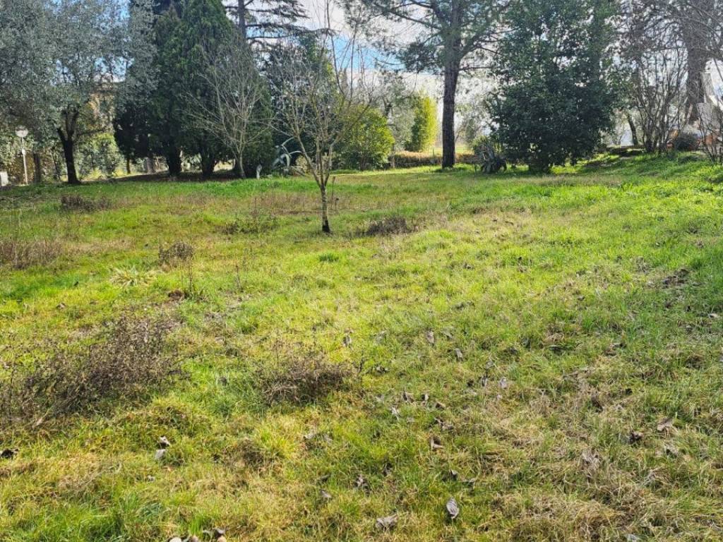 Casa indipendente a Torrita di siena - Foto 4