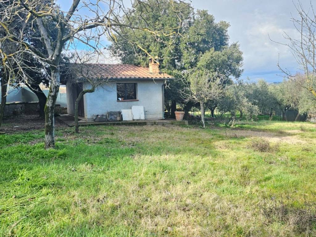 Casa indipendente a Torrita di siena - Foto 5