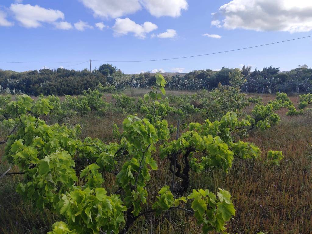 Terreno a Portoscuso in SP108 - Foto 2