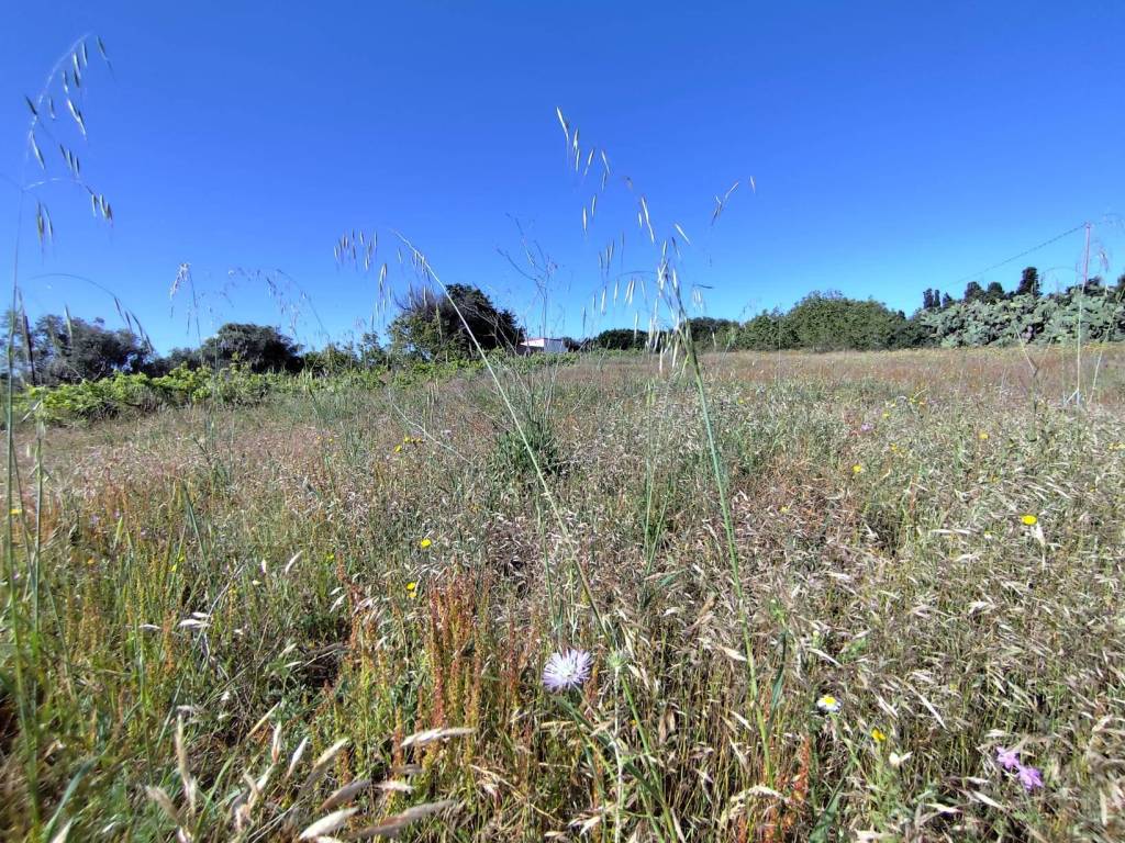 Terreno a Portoscuso in SP108 - Foto 3